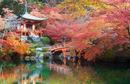 Japanese Head Spa YUME Global Certification Course | Osaka Japan 2027 | 3 Days Masterclass