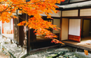 Japanese Head Spa YUME Global Certification Course | Osaka Japan 2027 | 3 Days Masterclass