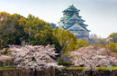Japanese Head Spa YUME Global Certification Course | Osaka Japan 2027 | 3 Days Masterclass